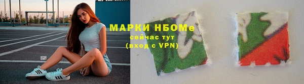 гашик Надым