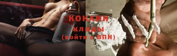 гашик Надым