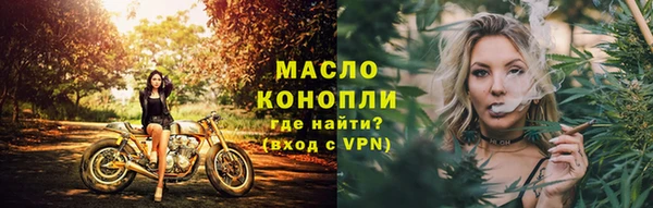 гашик Надым