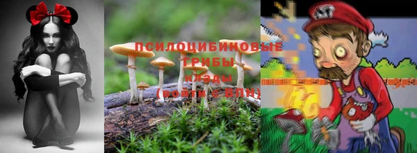 спиды Навашино