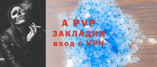 гашик Надым