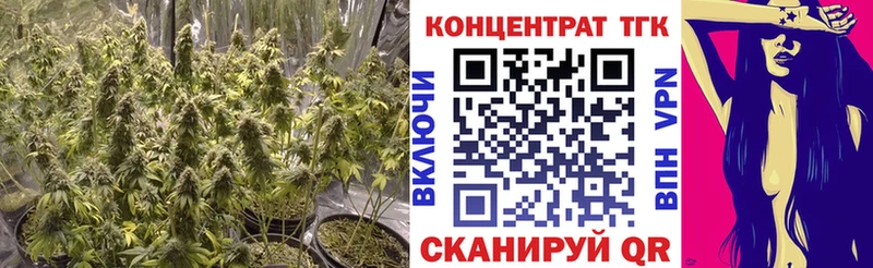 где найти   Ясногорск  omg tor  Дистиллят ТГК THC oil 